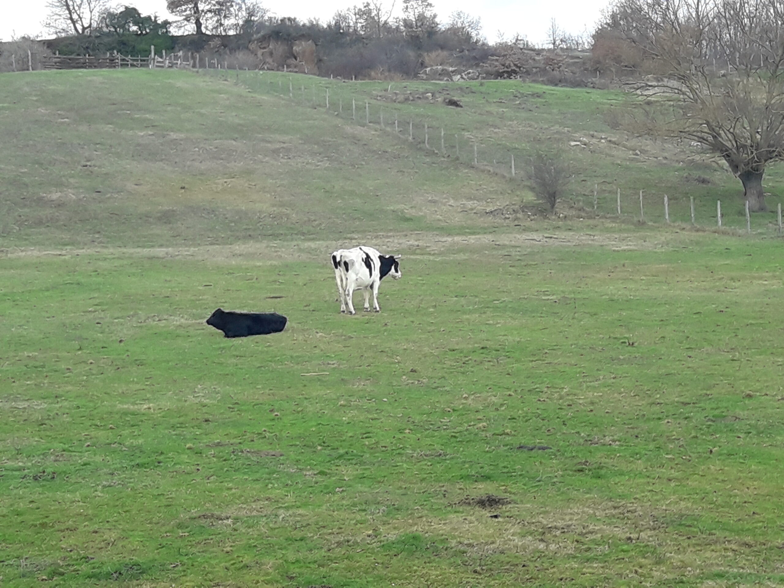 agricoltura-i-giovani-italiani-la-scelgono-come-lavoro