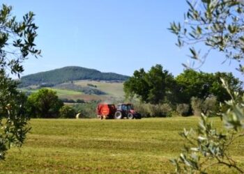 agricoltura-sociale-se-ne-parla-in-puglia
