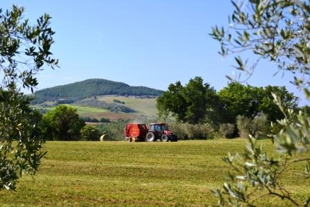 agricoltura-sociale-se-ne-parla-in-puglia