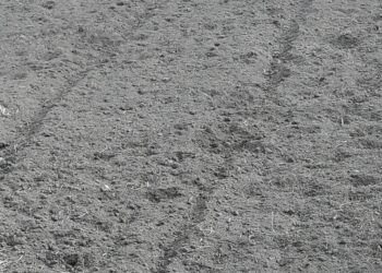 agricoltura-italiana-siccita-preoccupante