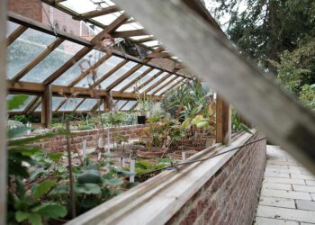 litalia-si-dota-di-un-centro-nazionale-per-l-agritech