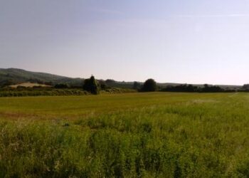 giornata-mondiale-dellalimentazione-accordo-fao---mipaaf