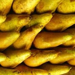 Gli aiuti definitivi per pomodori
