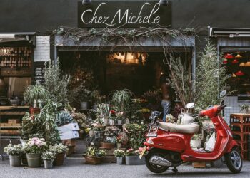 salvi-alberi-e-stelle-di-natale-florovivaisti-soddisfatti