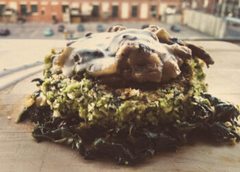 le-alghe-il-cibo-del-futuro