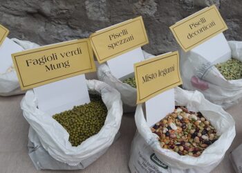 imprese-alimentari-la-dimensione-aziendale-piccola-sfavorisce