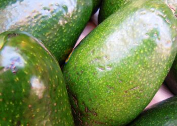 frutta-tropicale-in-mostra-a-cesena