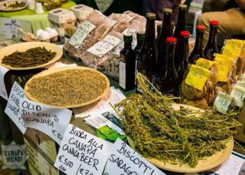 roma-tutto-pronto-per-canapa-mundi