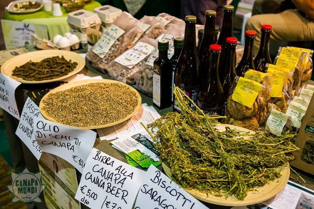 roma-tutto-pronto-per-canapa-mundi