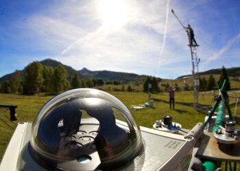 la-salute-dei-boschi-oggi-si-“misura”-in-internet