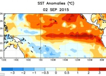 il-2017-il-secondo-anno-piu-caldo-di-sempre