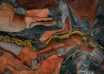 trento-paesaggi-dellantropocene