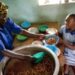 Fao e Oms unite nell'appello sul tema nutrizione