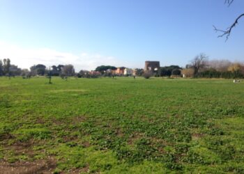 la-puglia-vara-la-banca-della-terra