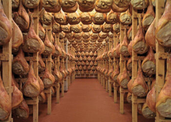 aria-di-festa-trionfo-del-prosciutto-san-daniele