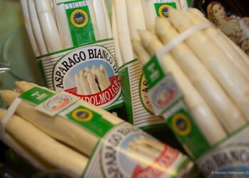 lasparago-di-cimadolmo-igp-torna-in-scena
