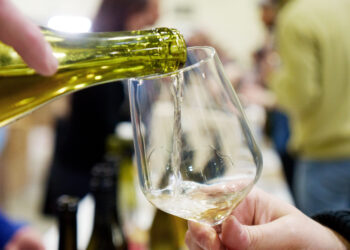 nella-campagna-veronese-il-fuori-salone-dei-vignaioli-naturali“natural-born-wines”