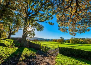 partito-il-7-censimento-generale-dellagricoltura-italiana-limpegno-delluci