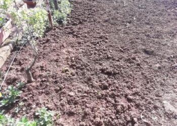 al-via-la-banca-delle-terre