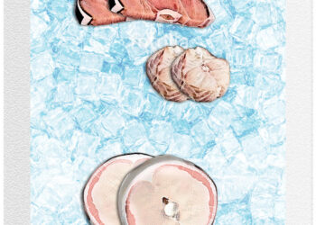 oggi-e-fish-dependance-day