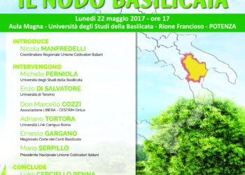 il-nodo-basilicata-convegno-promosso-dalluci-a-potenza