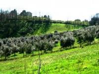 agricoltura-in-basilicata-nuovo-ufficio-per-i-pagamenti