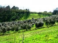 agricoltura-in-basilicata-nuovo-ufficio-per-i-pagamenti