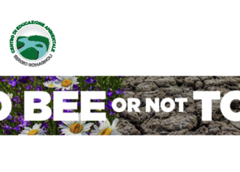 api-riparte-il-progetto-bee-safe