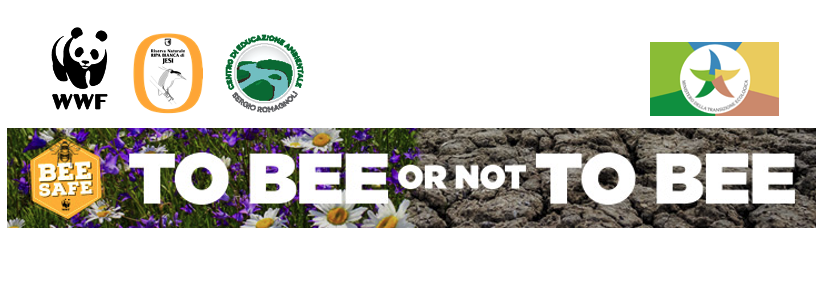 api-riparte-il-progetto-bee-safe