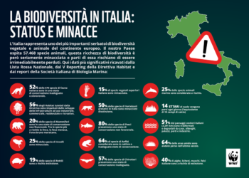 wwf-biodiversita-in-italia-un-puzzle-smontato