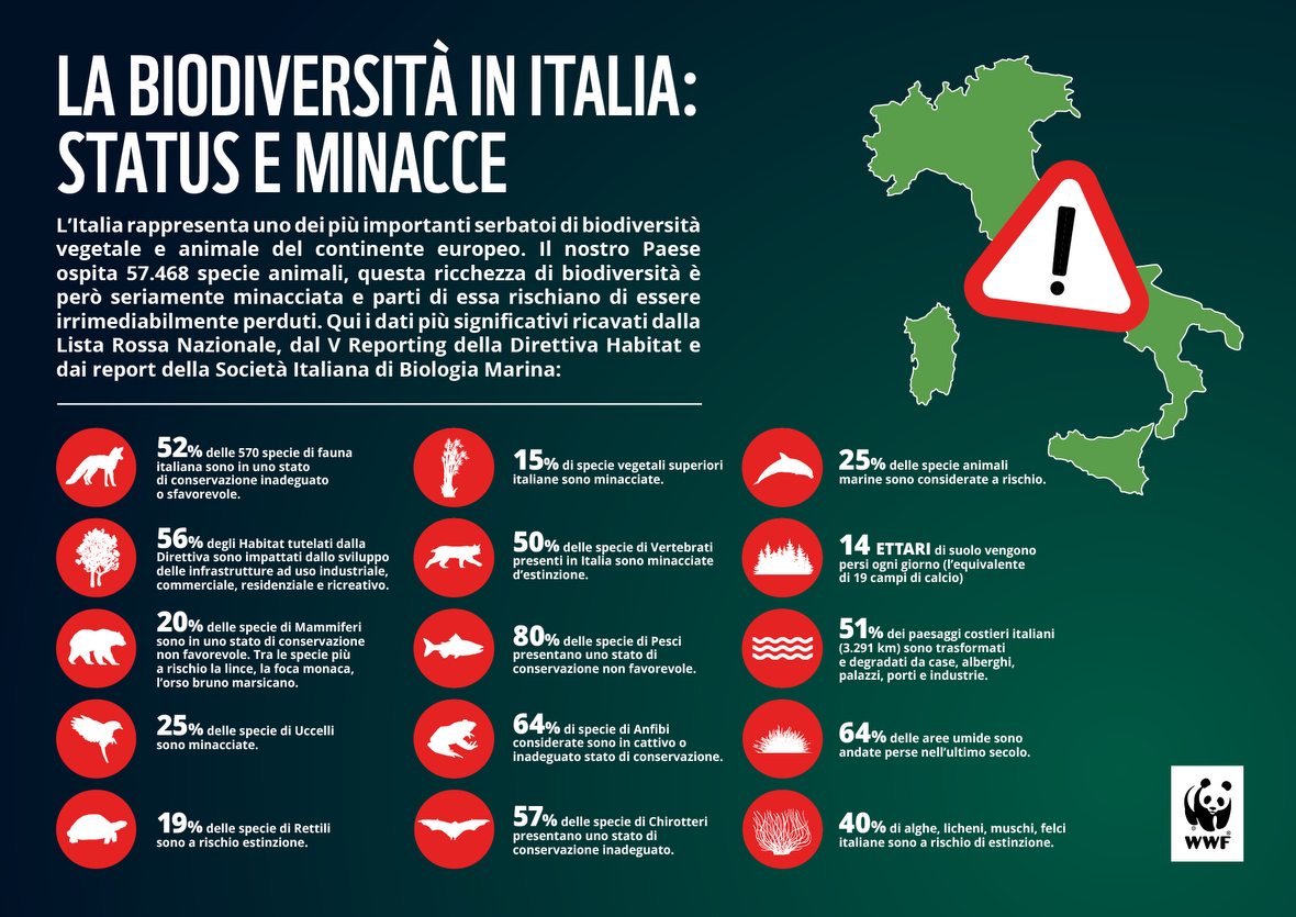 wwf-biodiversita-in-italia-un-puzzle-smontato