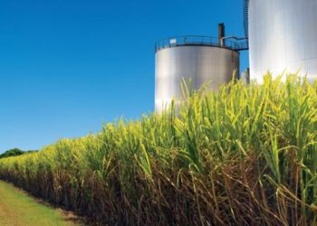 energia-prodotta-da-scarti-agroindustriali