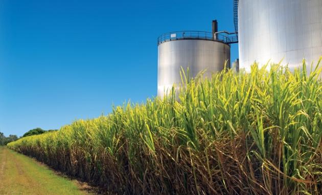 energia-prodotta-da-scarti-agroindustriali
