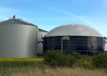 Biogas