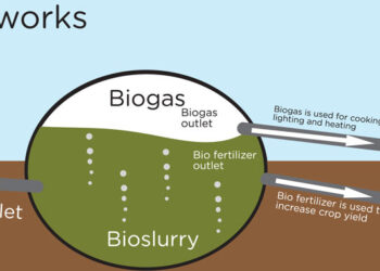 on-line-il-rapporto-del-gse-sulle-bioenergie