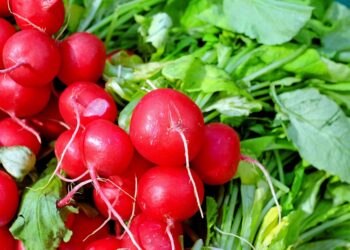 biologico-in-europa-sempre-piu-importante