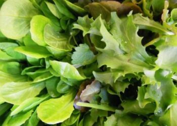 emilia-la-crescita-del-biologico