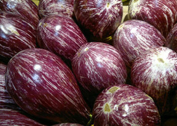 produzioni-sarde-in-vetrina-allexpo