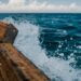biotecnologie-marine-litalia-nel-progetto-per-lhub-nel-mediterraneo