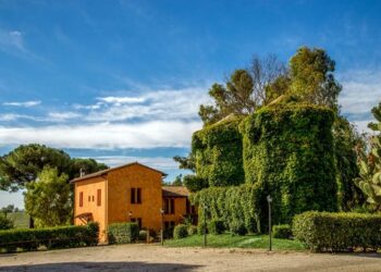 la-filiera-del-malto-il-caso-birra-peroni