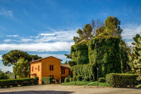 la-filiera-del-malto-il-caso-birra-peroni