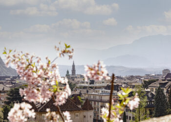 bolzano-in-fiore-tutto-pronto
