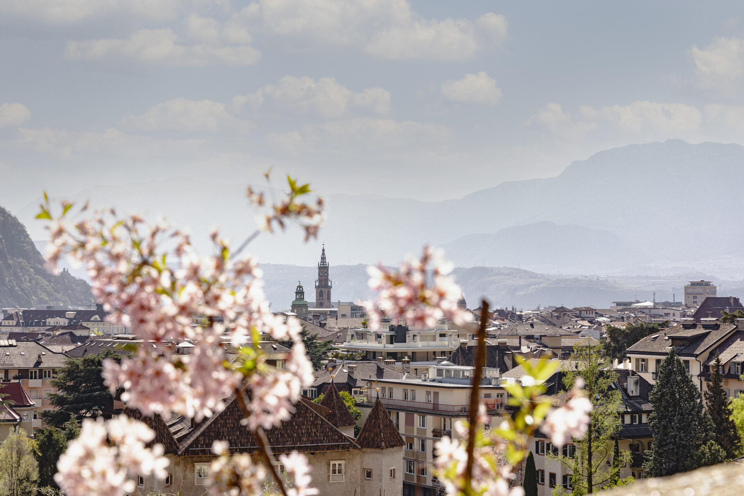 bolzano-in-fiore-tutto-pronto