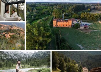 abbracciare-gli-alberi-e-un-toccasana-per-la-mente