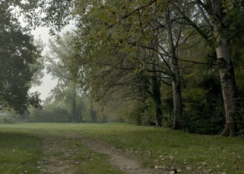 un-bosco-del-tempo-e-della-memoria-a-crema