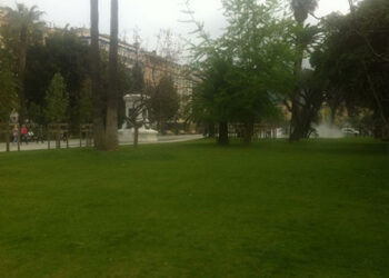 brevettabilita-delle-piante-per-assosementi-a-rischio-la-liberta-di-ricerca