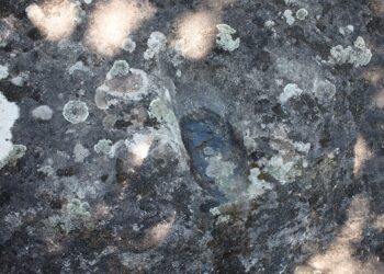 dal-15-al-22-ottobre-torna-la-settimana-del-pianeta-terra