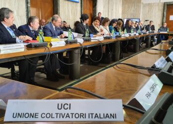 contrasto-al-caporalato-luci-al-tavolo-interministeriale
