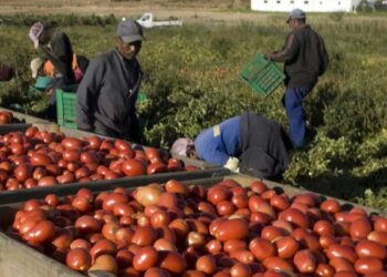 caporalato--schiavismo-senza-tempo