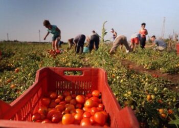 caporalato-firmato-il-protocollo-congiunto